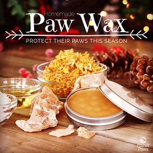 Mix four simple ingredients together to create an all natural, protective barrier for your dog's paws this winter! (Also Calendula giveaway at the end!) | Planet Paws