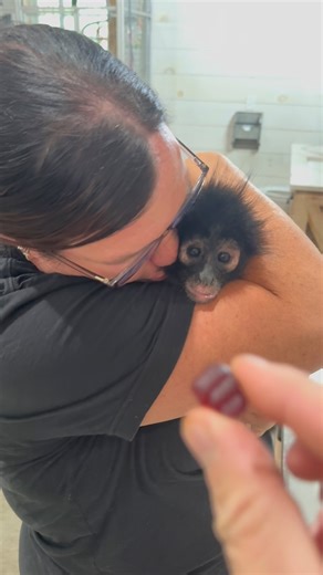 197K views · 12K reactions | My little Froggy does great for diaper time too❤️ | Our Life Adventures | Facebook