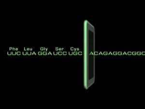 Open Reading Frame ORF