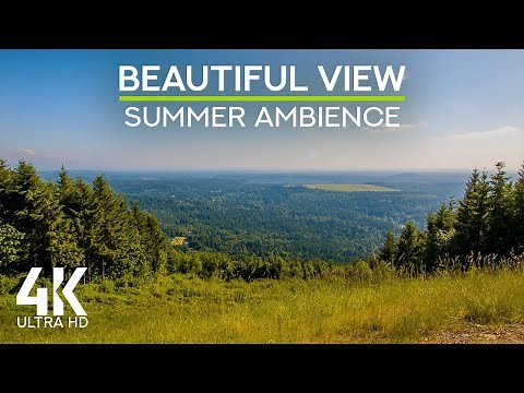 Escape to Poo Poo Point | 4K Scenic Vista with Pure Nature Sounds & ASMR Calm