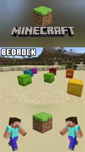 Java vs Bedrock–Part 34 🏆The BIG Differences Explained!#minecraft #minecraftshorts #lifeisbutadream