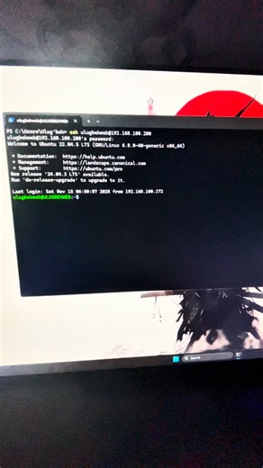 ULUGBEKWEB on Instagram: "🤝 Linux serverni localda ishlatish qulay! #python #coding #website #development"