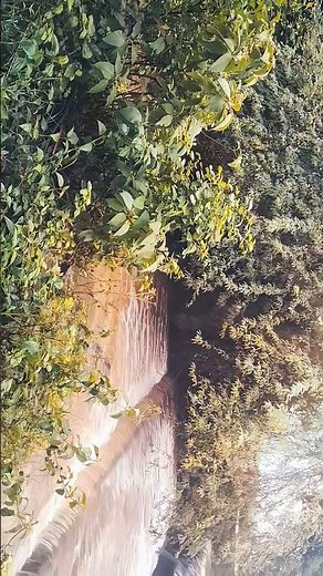 Beautiful River in Nature | Relaxing 4K Scenery