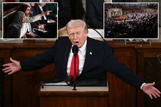 Trump blasts Dems who refused to stand for protecting Americans over ‘illegal aliens’ at State of the Union: ‘You should be ashamed’
