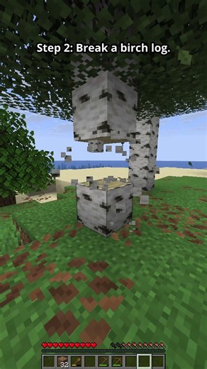 How to Put a Birch Log in Your Inventory in Minecraft