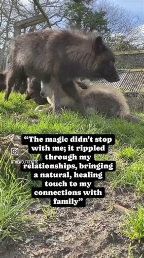 11K views · 1K reactions |  “A Journey of Transformation at...