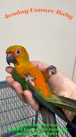 1K views · 21 reactions | *claimed* How's it hanging? This is our...