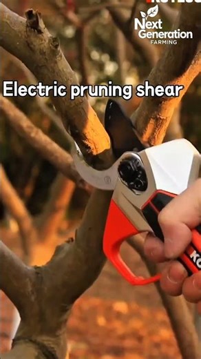 Look at This POWERFUL Electric Pruner It Cuts Thick Branches Like a TWIG! #satisfying #pruning