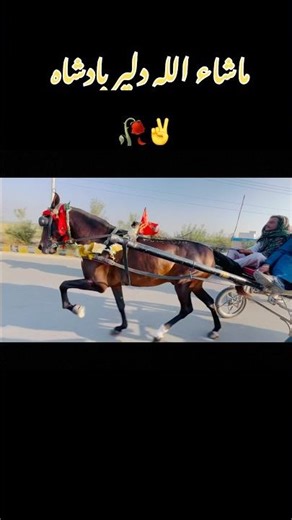 The Fast Horse That Shocked the World۔ #fasthorse #worldshockhorse #powerfulhorse #speedhorse