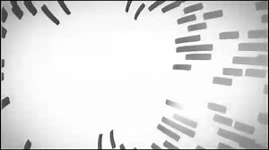 Youths embark on preparations for Pope's visit