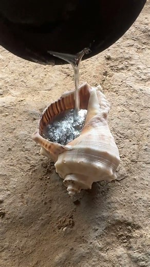 Artisan Snail Shell Metal Art 🐌 #shorts #handmade #DIY