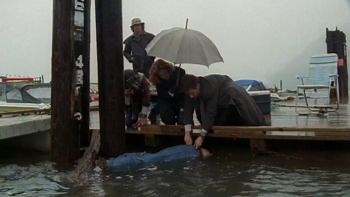 The X-Files S03 E22 "Quagmire" - TV Tropes