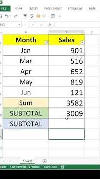 subtotal for hidden ROW | EXCEL