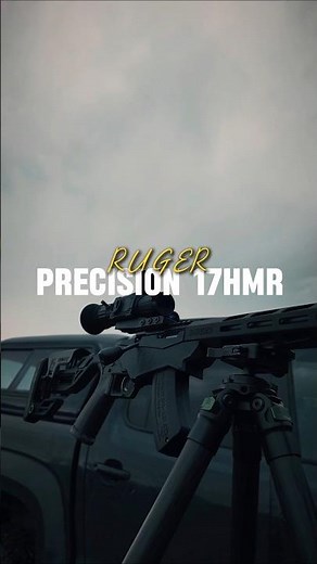 The ULTIMATE Rimfire #rugerprecision