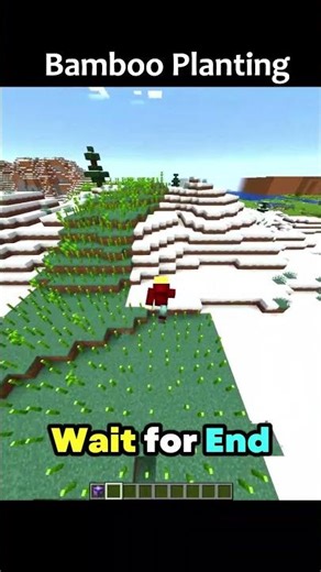 Planting Bamboos in Snow🥶Minecraft Command