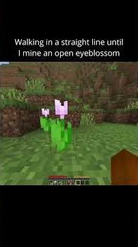 Walking in a straight line until I mine an open eyeblossom #minecraft