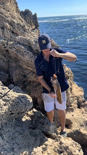 Giant Squid and Cuttlefish Adventures in Perth