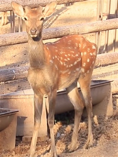 Unlocking the Magic of 'In Aisles'