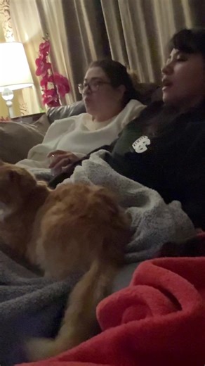 Twinless: A Heartfelt Movie Night with Sisters