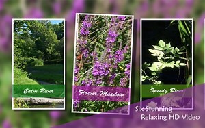 Chill Relax Fireplace: Fire Candle HD Video 1.1