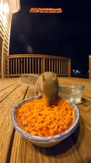 🤣🤣 | DQT Entertainment