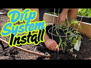 How to Install Drip System in Garden