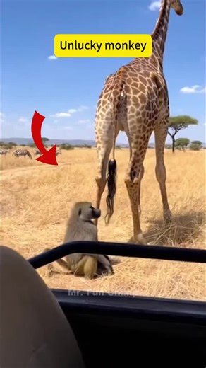 Incredible AI Animation: 100 Million Views of Wildlife