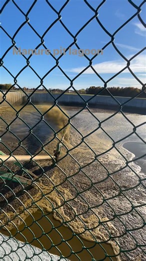 Ito ang tinatawag na manure pit lagoon, 16 feet depth and 140 feet in diameter it can stored up to 1,847,250 US galoons or 7,389,000 liters. Cow manure is moved from the barn into this lagoon through mechanical system using a powered equipment like automated scrapers, pumps. #dairyfarming #dairyfarm #manurepitlagoon #fermekolly #quebec #canada | Mherma Magbanua
