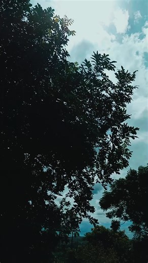 Mosha clean (@moshaclean)’s videos with original sound - Mosha clean