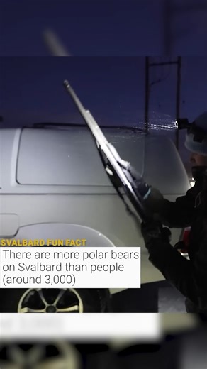 2.6M views · 45K reactions | Year-Round Polar Bear Alert #Svalbard #Wildlife #Survival | Kara and Nate | Facebook