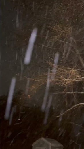 The effects of a severe winter storm #snow ￼