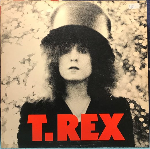 T. Rex - The Slider