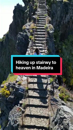 Stairway to heaven in Madeira. How does it feel to walk it up? #madeira #madeirahiking #hikingmadeira #madeiraisland