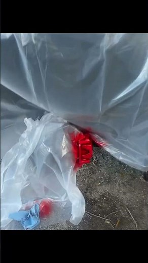 How to paint brake calipers: a simple diy guide#diy #brakecaliper #carmodification