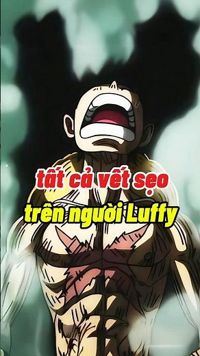 mọi vết sẹo trên người Luffy và ý nghĩa của những vết sẹo đó #anime #onepiece #luffy #animeshorts