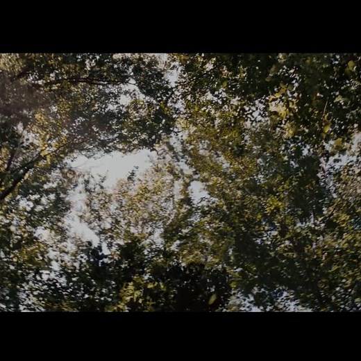 238K views · 3K reactions | #action #flim https://reallife59.blogspot.com/2025/11/noah_01600470344.html | Movie Zoon | Facebook