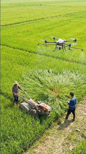 Drone Farming in Action | Smart Agriculture Technology in Rice Fields