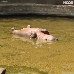 My weekend plans summed up 😎 | The Hook