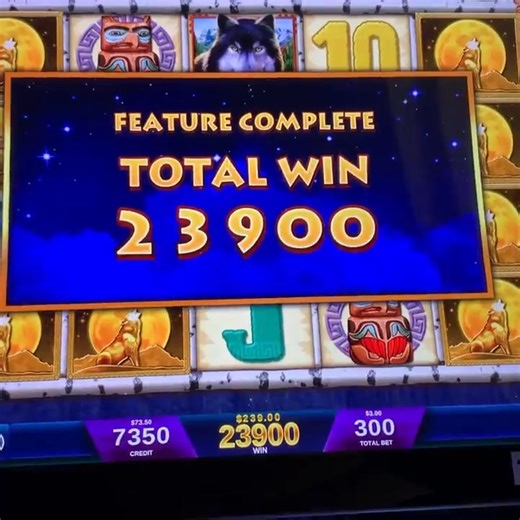 🌕 Limited-Time Offer: 100 FREE SPINS $2000 BONUS! 🐺 Step into the wild with Wolf Run — make your first deposit and let the wolves guide your luck! 🔥 Don’t wait — the moon is up, and your adventure begins now! 🌌 | Wolf Run