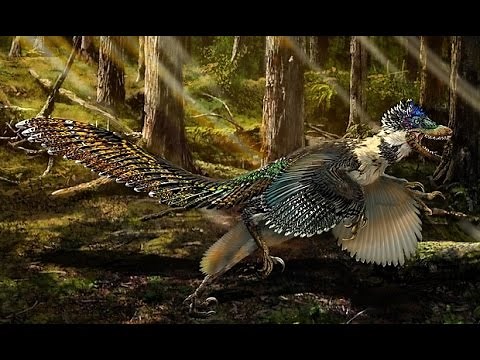 Zhenyuanlong suni: biggest ever winged dinosaur is found in China