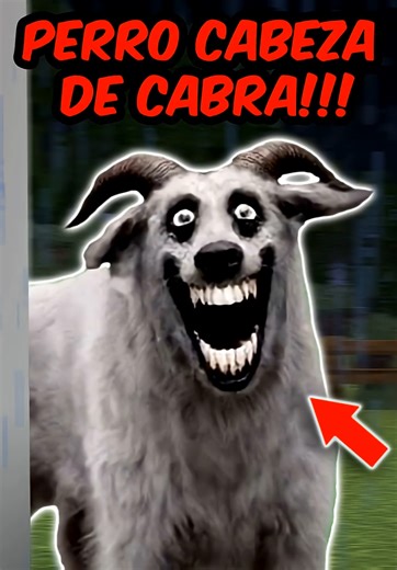 Si ves este PERRO con CABEZA DE CABRA en tu mundo... ¡CORRE o lo LAMENTARÁS! | Minecraft Creepypasta #MinecraftTerror #creepypasta #DoxtorDonitaMC