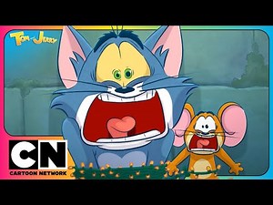 🐱🐭 13 Minutes of Cat and Mouse DRAMA | Tom and Jerry Chases | World Cat Day | Cartoon Network Asia