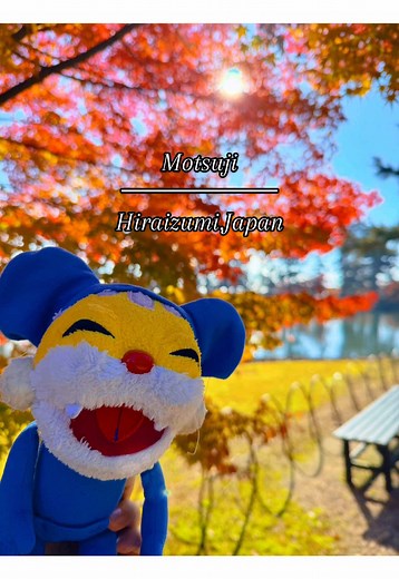 2025.11.05☀️｡° 今年も毛越寺の紅葉を見に行きました🍁 1年のうちでこの時期が1番美しい🥰✨️ 何度見ても圧巻です✨️ 美し過ぎてため息出ちゃう(o´д`o)-3 今週が見頃です😚 ぜひお天気良い日を狙って訪れてみてね♪ #毛越寺 #平泉 #世界遺産 #旅行 #ニャンちゅう