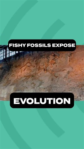 Fishy Fossils Expose Evolution #podcast #science