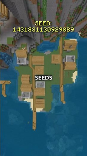 GOD SEED found in Minecraft 1.21