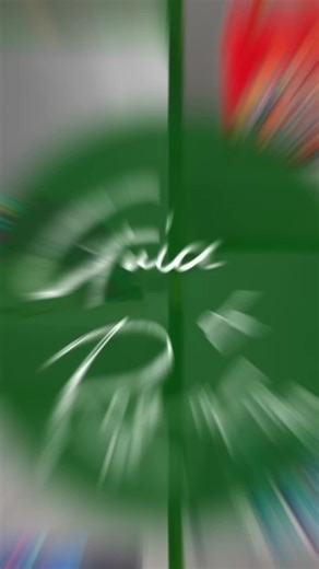 #bolsos #viral #tik_tok #chula #tendencia