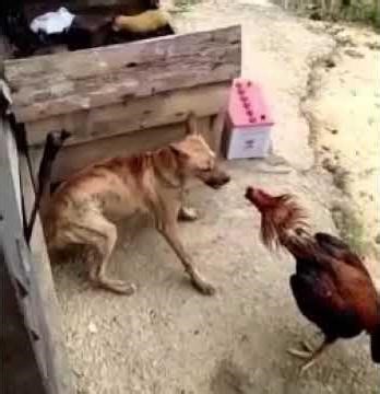 ScreenHunter 325 #deprem #depremoldu #sallandık