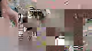 Follow along with Nat Geo Photographer and Explorer Anand Varma and chef Melissa King as they explore the plant and animal life along the coast of the North Olympic Peninsula. | National Geographic