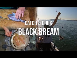 Catch and cook Black Bream