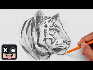How To Draw a Tiger | Step by Step Art Lesson